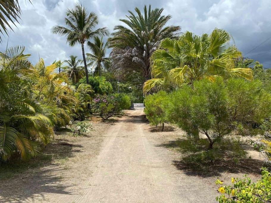Villa Coco Des Sables Acces Direct Au Lagon La Saline Le Bains Bagian luar foto