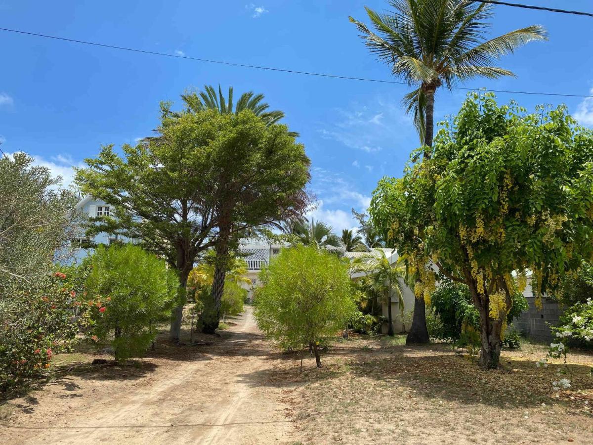 Villa Coco Des Sables Acces Direct Au Lagon La Saline Le Bains Bagian luar foto